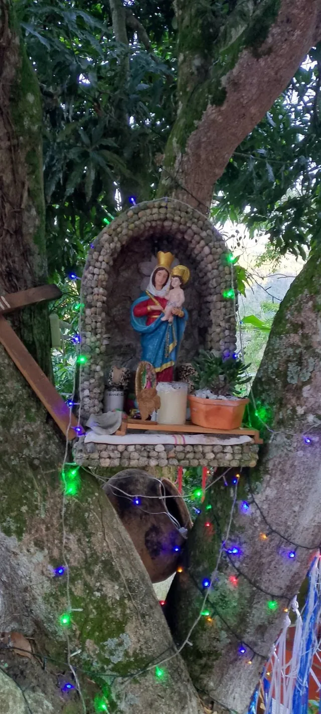 Imagen de la Virgen con el Niño en una pequeña gruta entre árboles